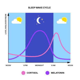 L’éclairage intelligent et connecté :